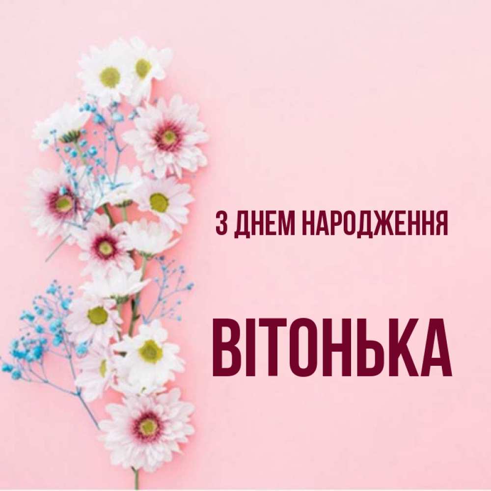 Открытка на каждый день з підписом, Вітонька З Днем народження Родная моя с днем рождения тебя картинка с цветами белыми и голубыми Прикольна листівка з побажанням онлайн скачати безкоштовно 