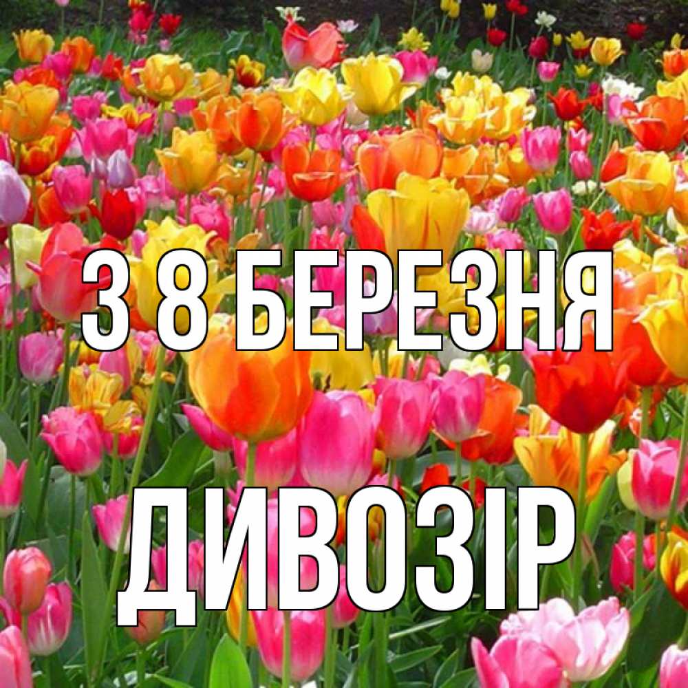Открытка на каждый день з підписом, Дивозір З 8 БЕРЕЗНЯ на международный женский день Прикольна листівка з побажанням онлайн скачати безкоштовно 