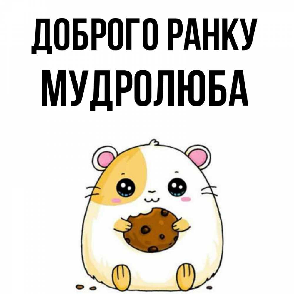 Открытка на каждый день з підписом, Мудролюба Доброго ранку есть печеньку. Утречко Прикольна листівка з побажанням онлайн скачати безкоштовно 