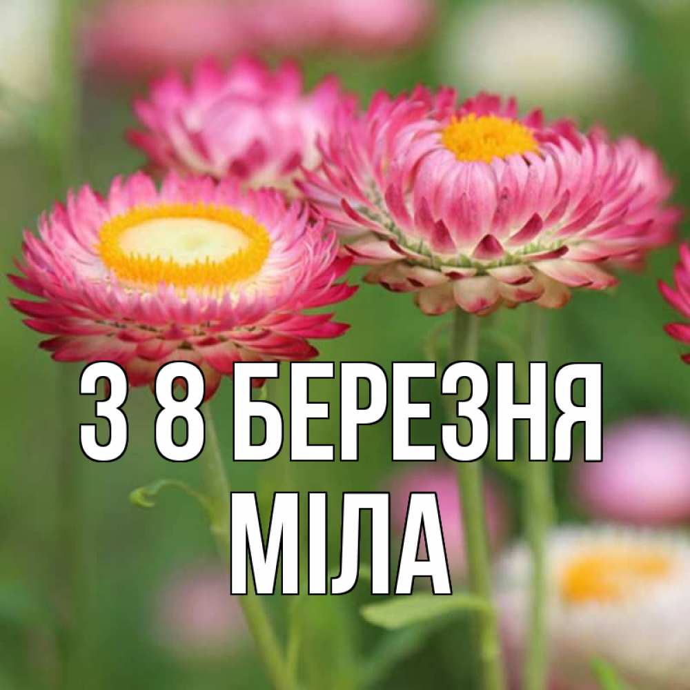 Открытка на каждый день з підписом, Міла З 8 БЕРЕЗНЯ подарок на международный женский день Прикольна листівка з побажанням онлайн скачати безкоштовно 