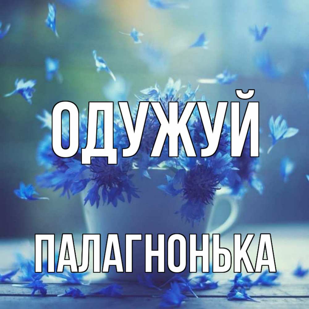 Открытка на каждый день з підписом, Палагнонька Одужуй кружка с зельем и цветами Прикольна листівка з побажанням онлайн скачати безкоштовно 