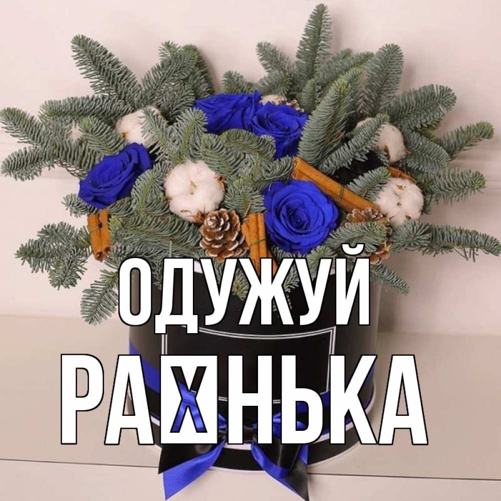 Открытка на каждый день з підписом, Раєнька Одужуй короче кто то загрузил эти шишки Прикольна листівка з побажанням онлайн скачати безкоштовно 