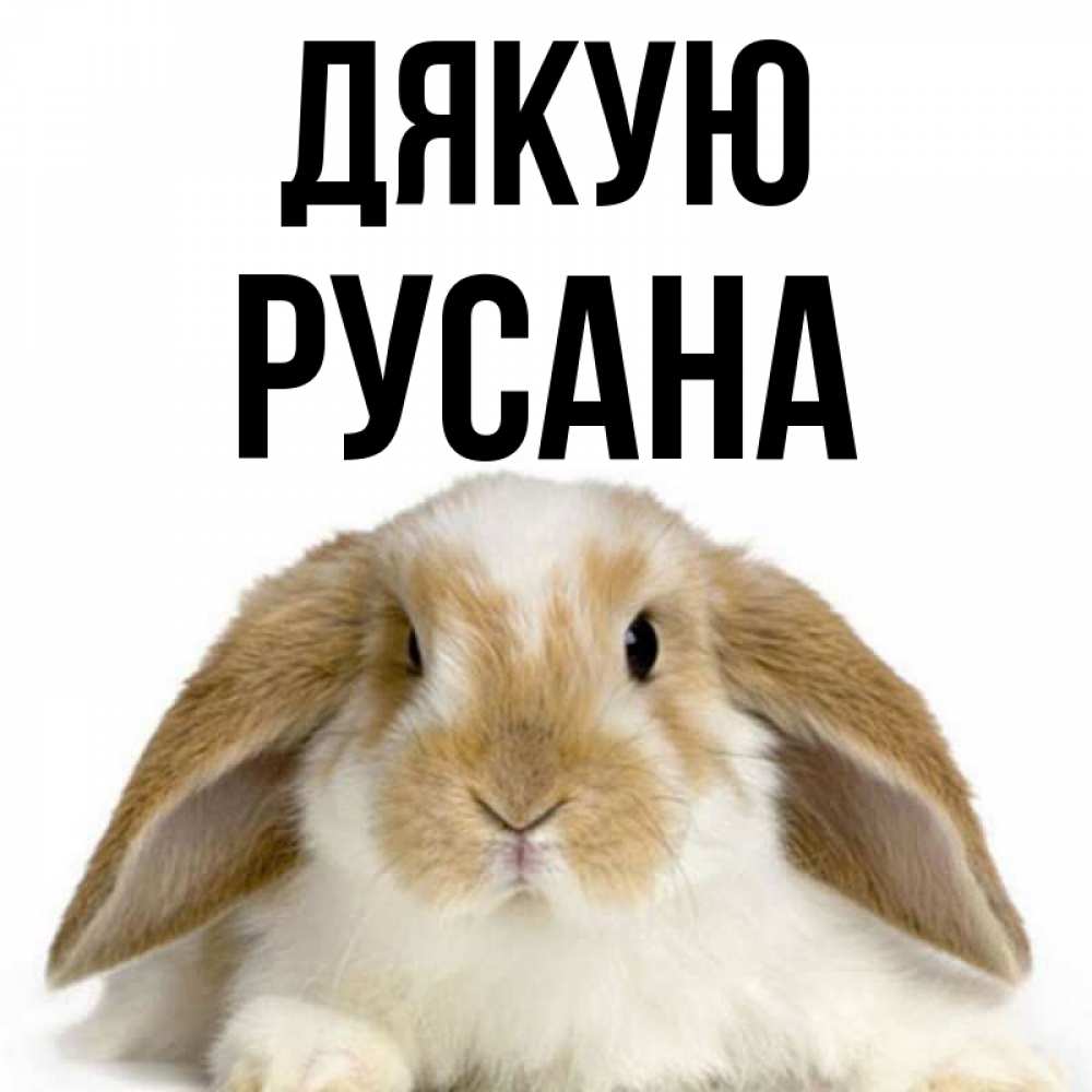 Открытка на каждый день з підписом, Русана Дякую коричнево белый заяц Прикольна листівка з побажанням онлайн скачати безкоштовно 