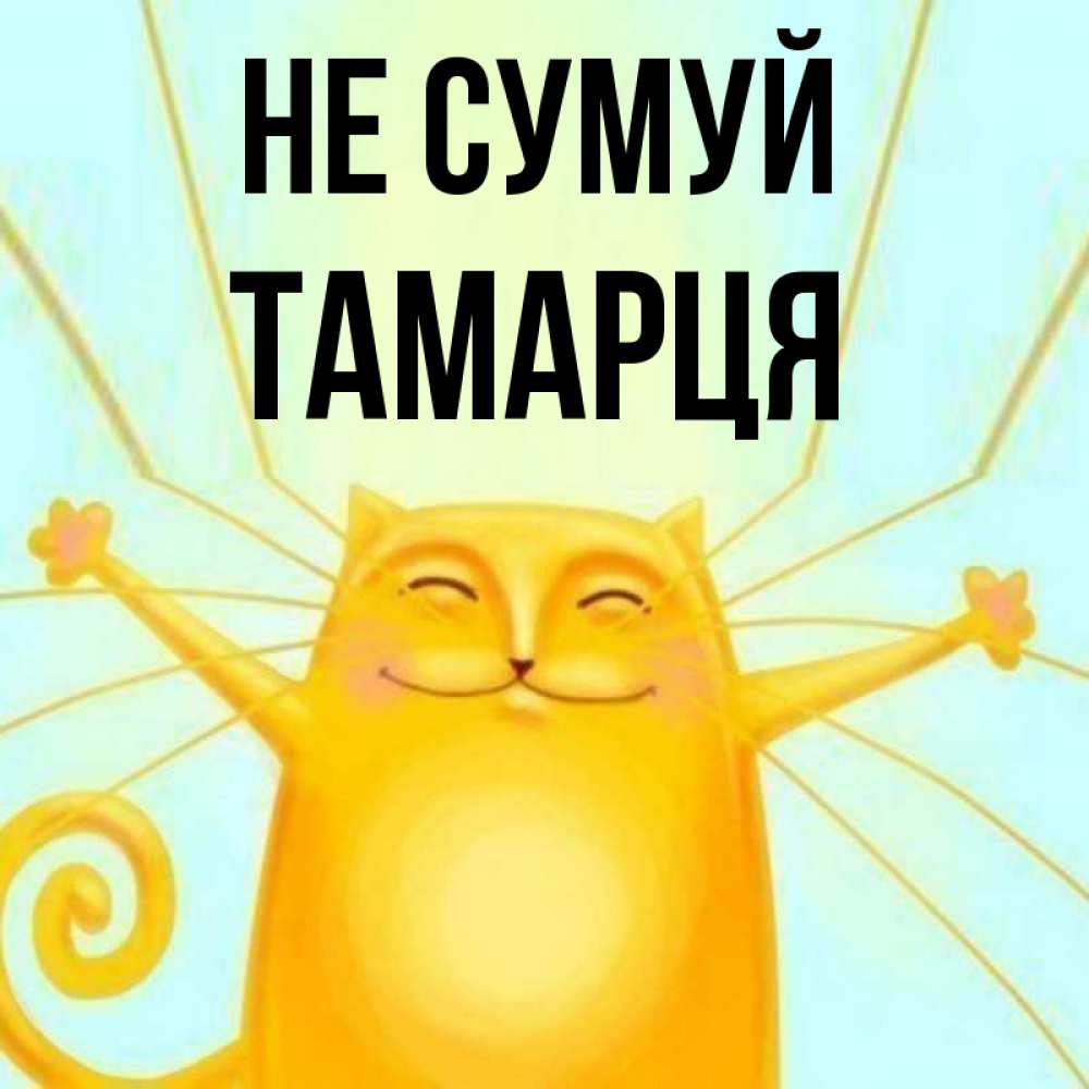 Открытка на каждый день з підписом, Тамарця Не сумуй обнимашки усатые Прикольна листівка з побажанням онлайн скачати безкоштовно 