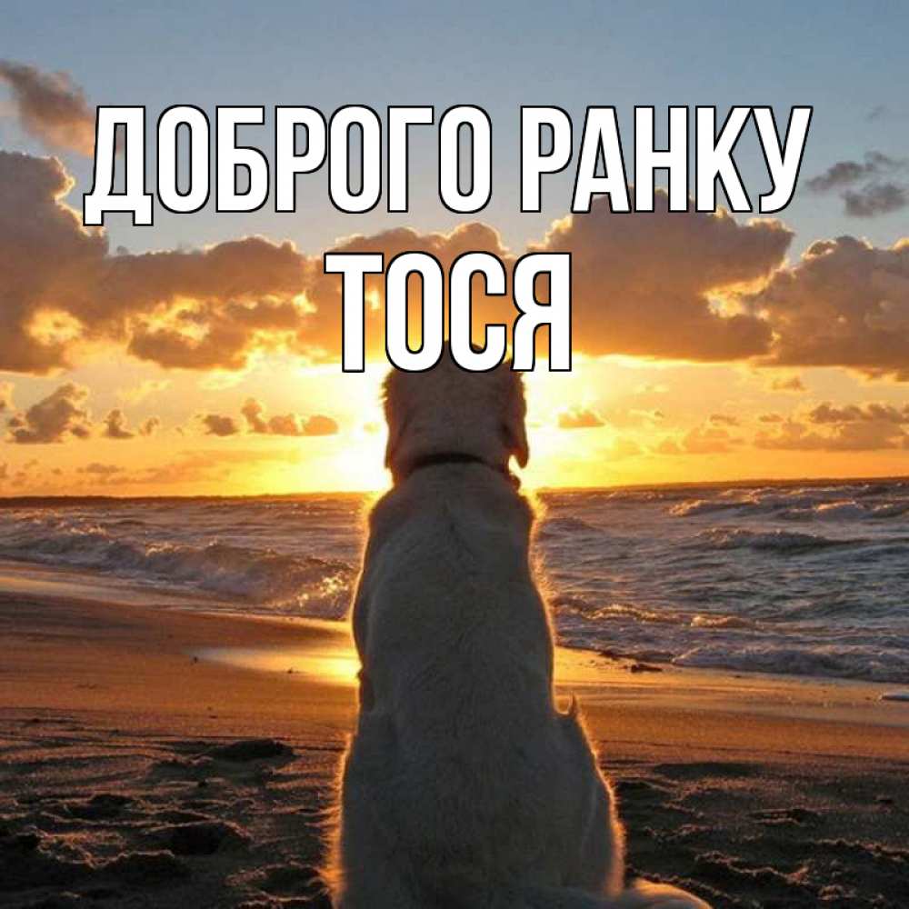 Открытка на каждый день з підписом, Тося Доброго ранку восход солнца Прикольна листівка з побажанням онлайн скачати безкоштовно 