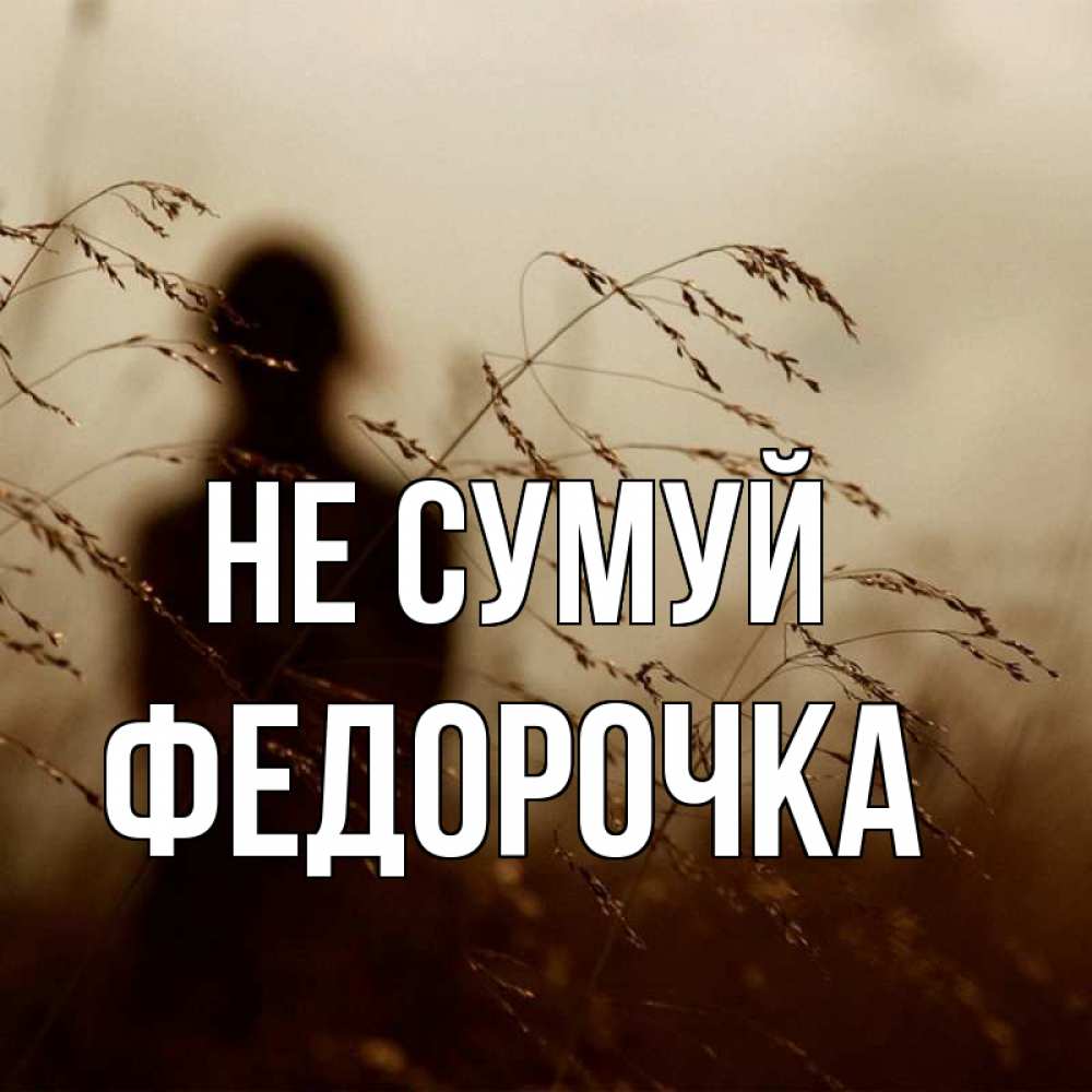 Открытка на каждый день з підписом, Федорочка Не сумуй грусть Прикольна листівка з побажанням онлайн скачати безкоштовно 
