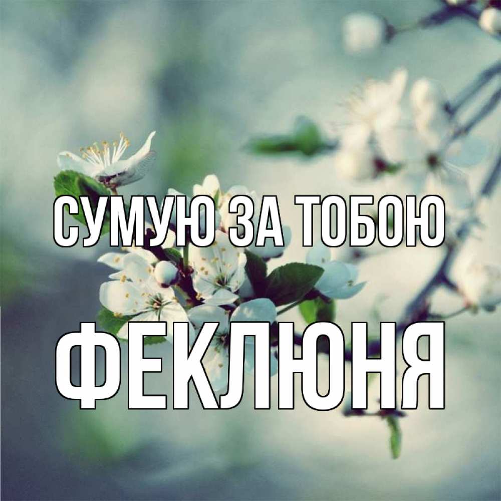 Открытка на каждый день з підписом, Феклюня Сумую за тобою весна Прикольна листівка з побажанням онлайн скачати безкоштовно 