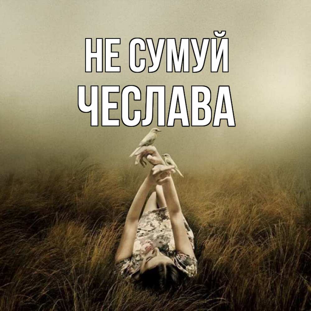 Открытка на каждый день з підписом, Чеслава Не сумуй поле и туман Прикольна листівка з побажанням онлайн скачати безкоштовно 