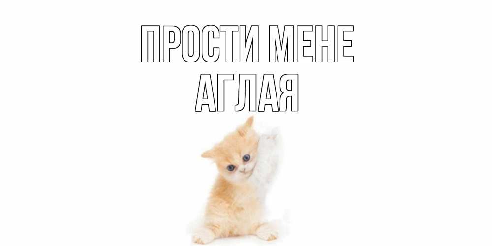 Открытка на каждый день з підписом, Аглая Прости мене кот Прикольна листівка з побажанням онлайн скачати безкоштовно 