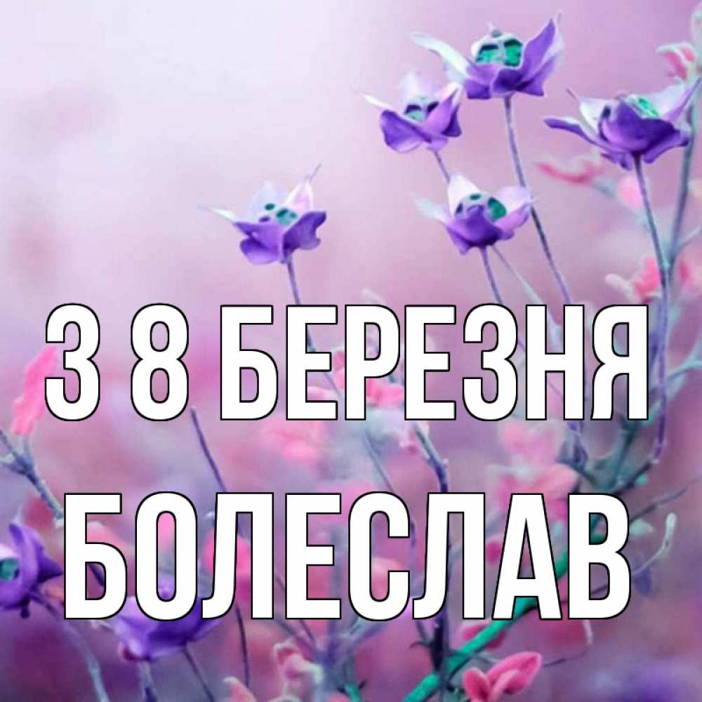 Открытка на каждый день з підписом, Болеслав З 8 БЕРЕЗНЯ международный женский день 2 Прикольна листівка з побажанням онлайн скачати безкоштовно 