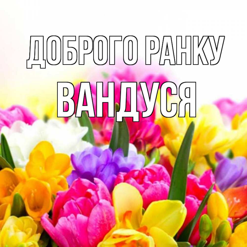 Открытка на каждый день з підписом, Вандуся Доброго ранку создать открытку со свое подписью Прикольна листівка з побажанням онлайн скачати безкоштовно 