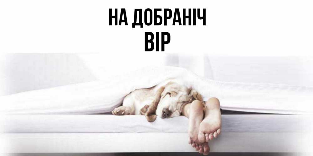 Открытка на каждый день з підписом, Вір На добраніч кровать с собакой пожелание сладких снов и спокойной ночи Прикольна листівка з побажанням онлайн скачати безкоштовно 