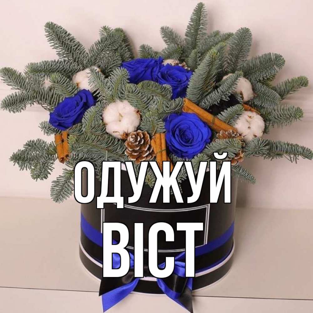 Открытка на каждый день з підписом, Віст Одужуй короче кто то загрузил эти шишки Прикольна листівка з побажанням онлайн скачати безкоштовно 