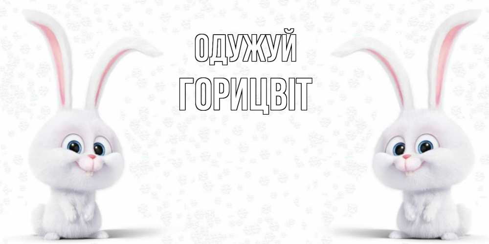 Открытка на каждый день з підписом, Горицвіт Одужуй не болей с зайцем Прикольна листівка з побажанням онлайн скачати безкоштовно 