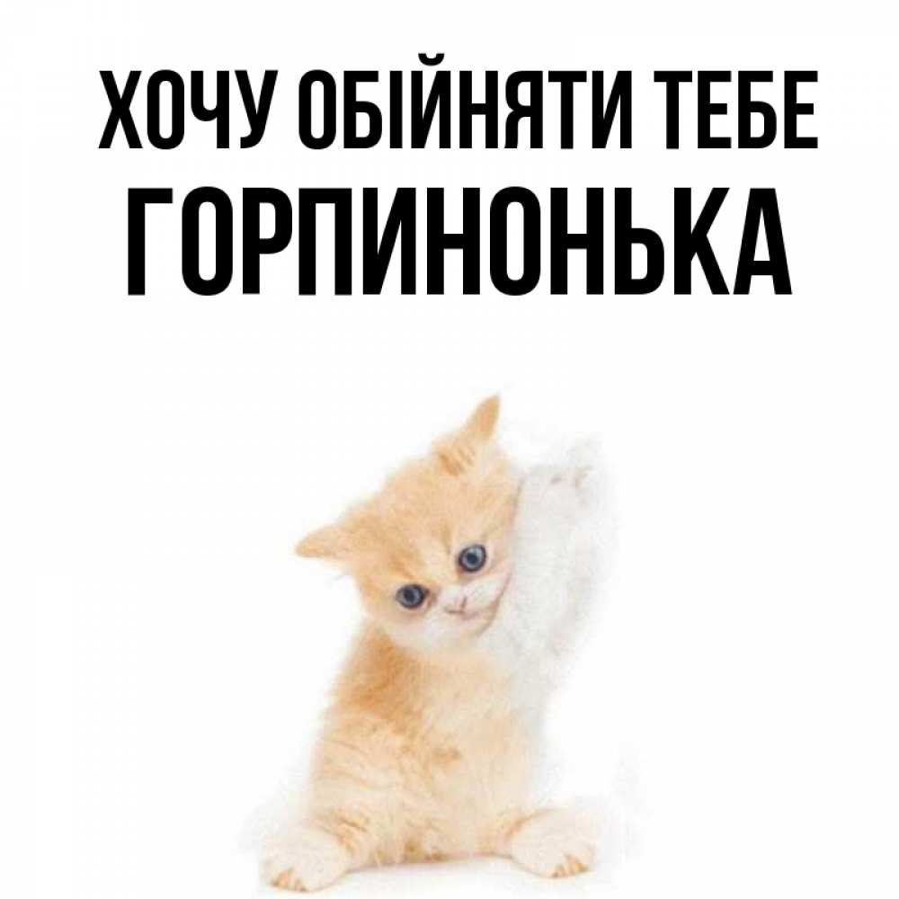 Открытка на каждый день з підписом, Горпинонька Хочу обійняти тебе я хочу очень скорее обнимаешек Прикольна листівка з побажанням онлайн скачати безкоштовно 