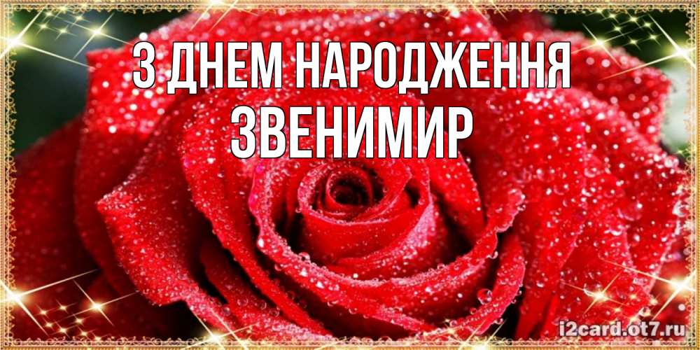 Открытка на каждый день з підписом, Звенимир З Днем народження роса и роза. открытка с красивой розой Прикольна листівка з побажанням онлайн скачати безкоштовно 