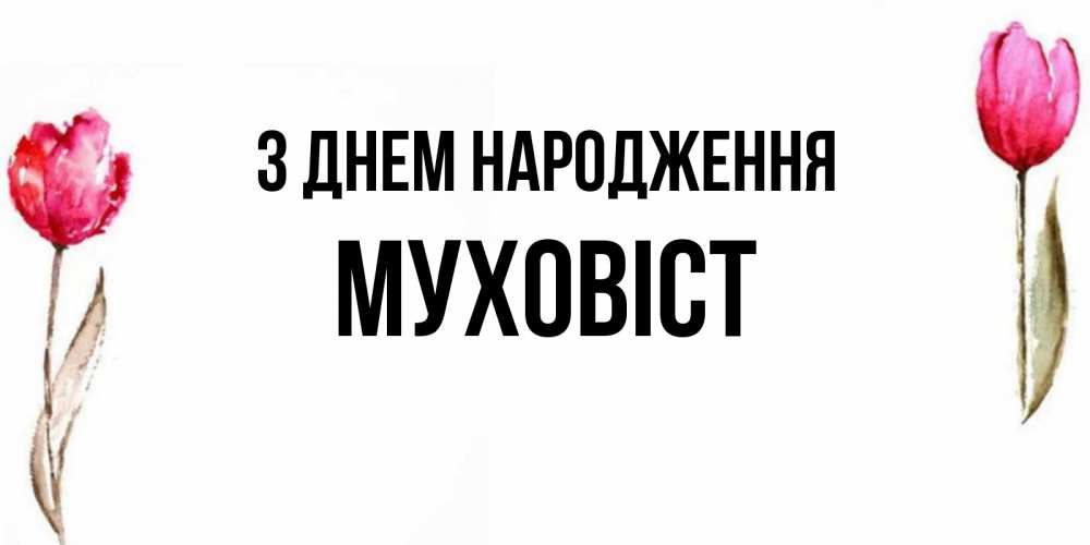 Открытка на каждый день з підписом, Муховіст З Днем народження открытки акварелью с цветами Прикольна листівка з побажанням онлайн скачати безкоштовно 