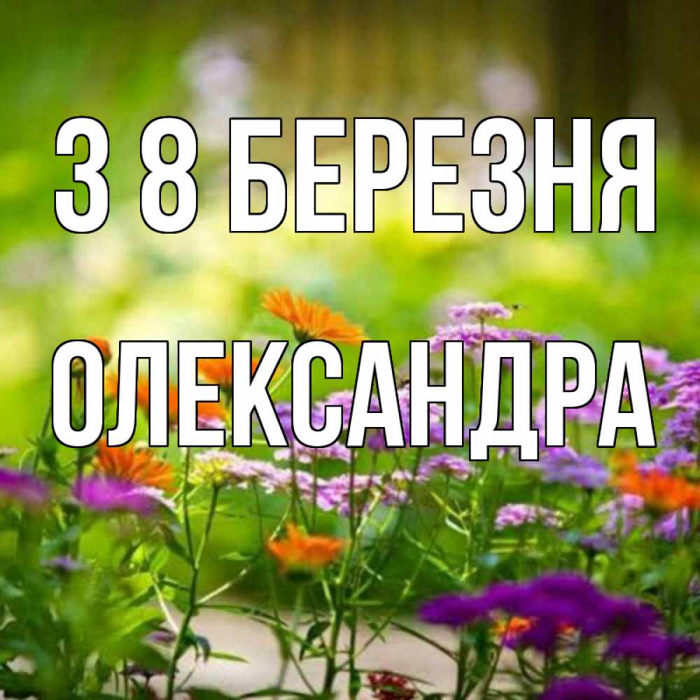 Открытка на каждый день з підписом, Олександра З 8 БЕРЕЗНЯ цветы Прикольна листівка з побажанням онлайн скачати безкоштовно 