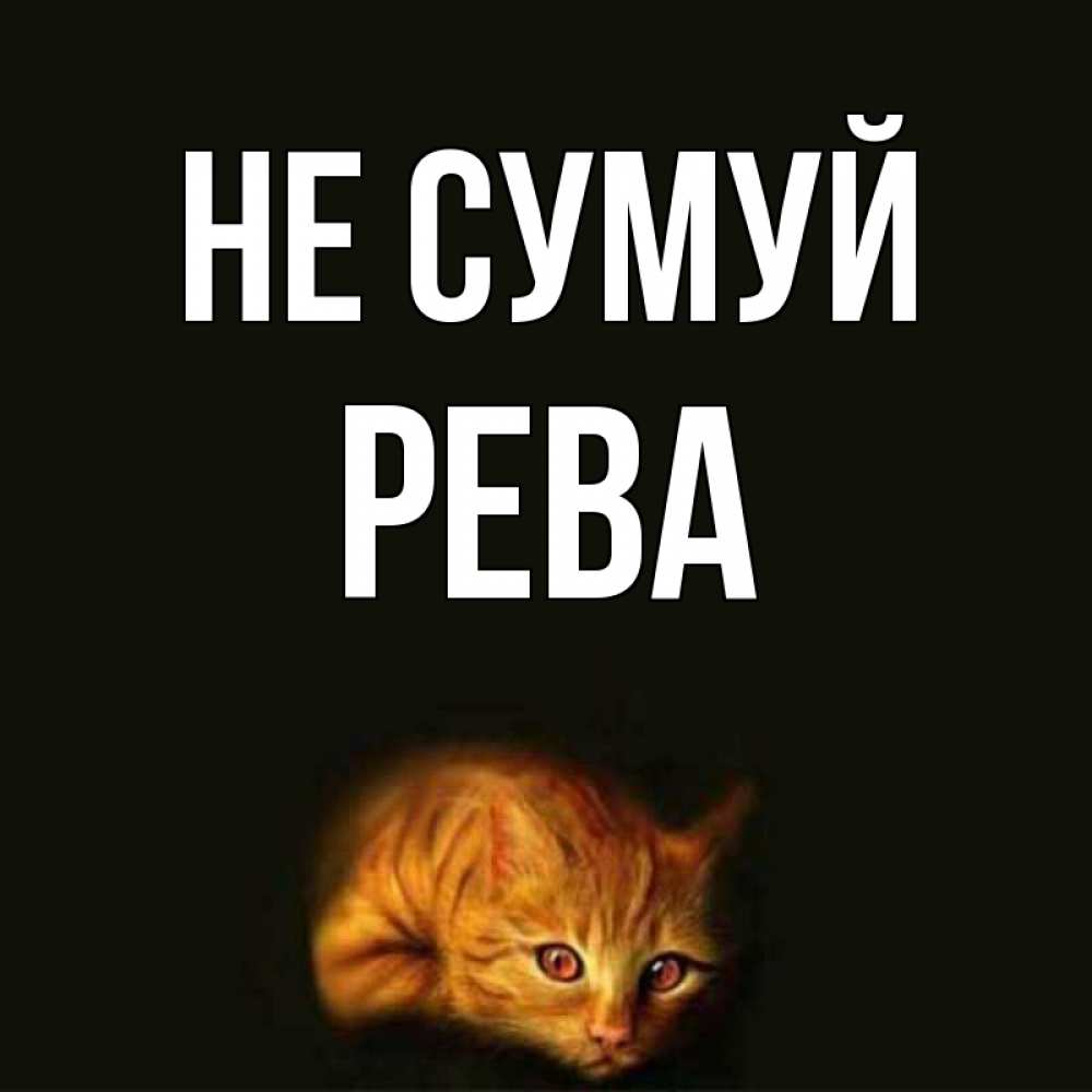 Открытка на каждый день з підписом, Рева Не сумуй лежащий кот в темноте Прикольна листівка з побажанням онлайн скачати безкоштовно 
