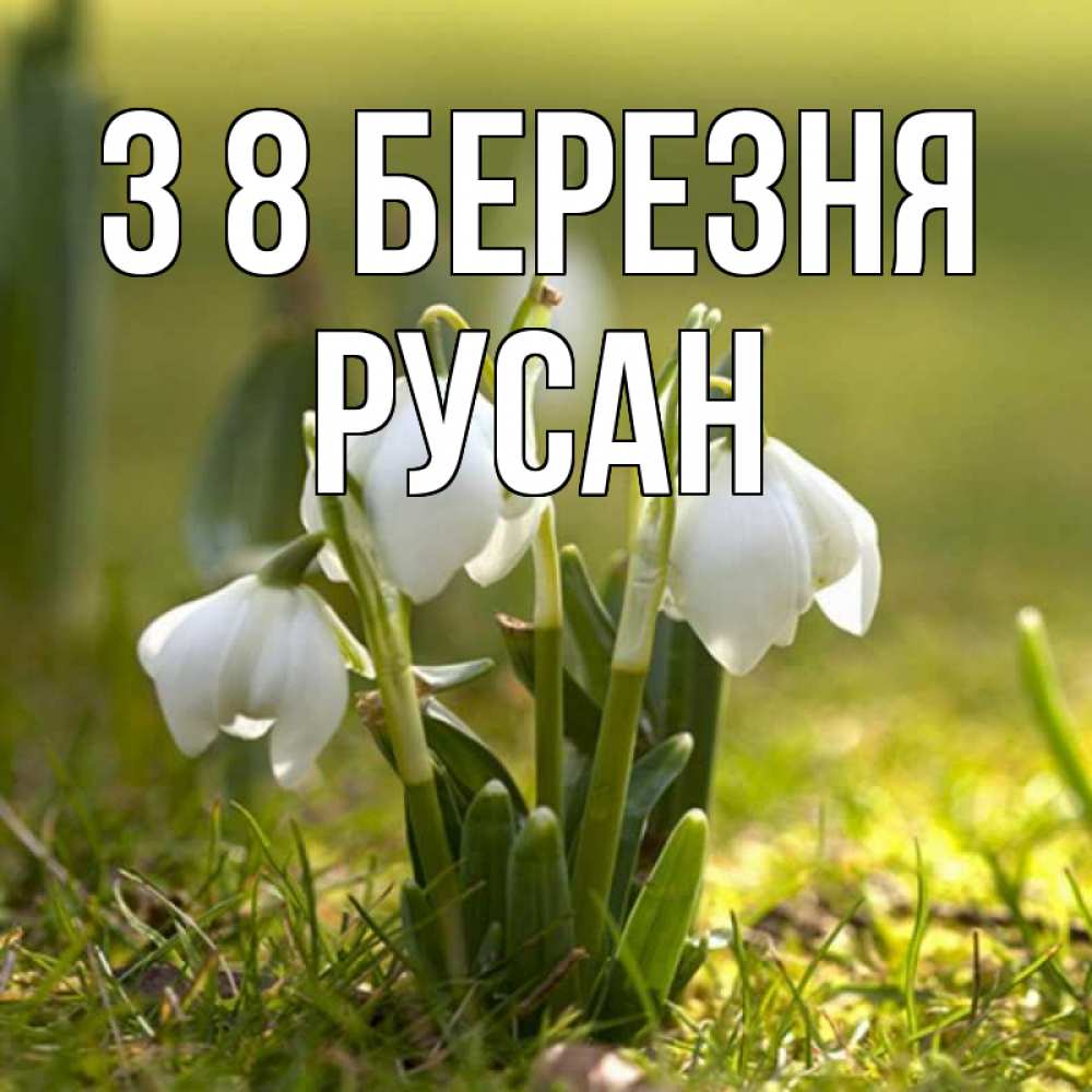 Открытка на каждый день з підписом, Русан З 8 БЕРЕЗНЯ ранние цветы 2 Прикольна листівка з побажанням онлайн скачати безкоштовно 