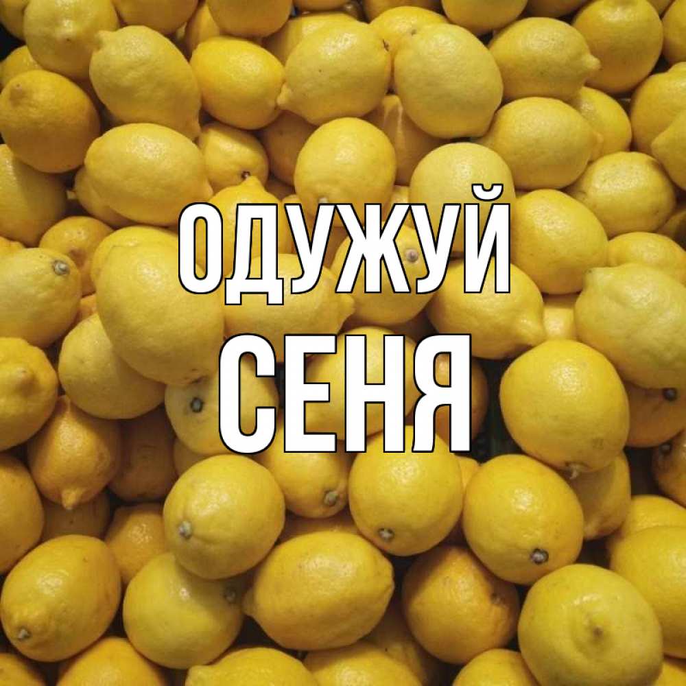 Открытка на каждый день з підписом, Сеня Одужуй это точно поможет Прикольна листівка з побажанням онлайн скачати безкоштовно 