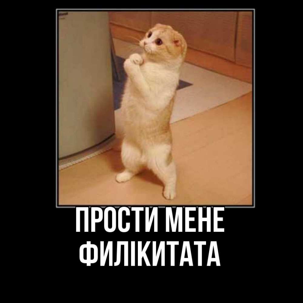 Открытка на каждый день з підписом, Филікитата Прости мене открытка с милым несчастным котиком просящим прощения Прикольна листівка з побажанням онлайн скачати безкоштовно 