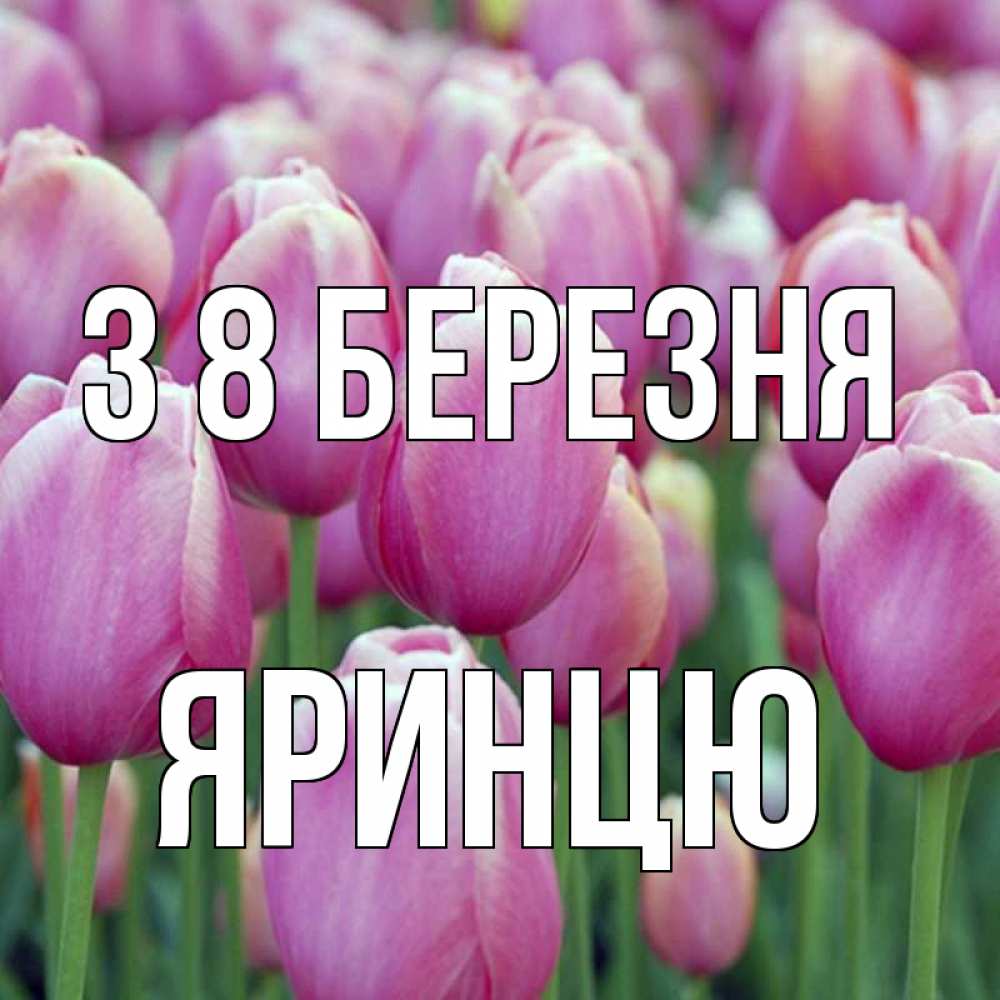 Открытка на каждый день з підписом, Яринцю З 8 БЕРЕЗНЯ на международный женский день 3 Прикольна листівка з побажанням онлайн скачати безкоштовно 
