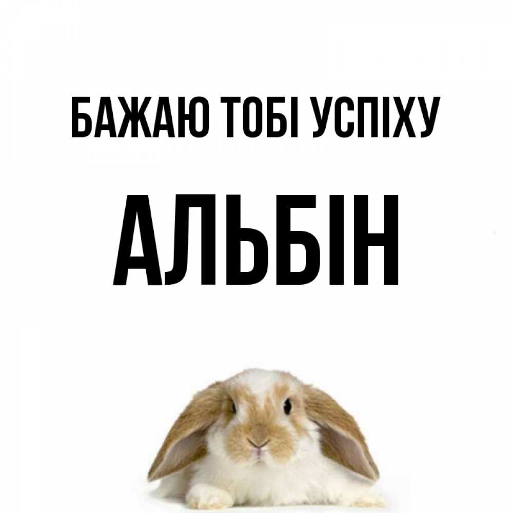 Открытка на каждый день з підписом, Альбін Бажаю тобі успіху открытки с произвольным текстом который можно вставить в открытку и создать ее самостоятельно бесплатно онлайн Прикольна листівка з побажанням онлайн скачати безкоштовно 