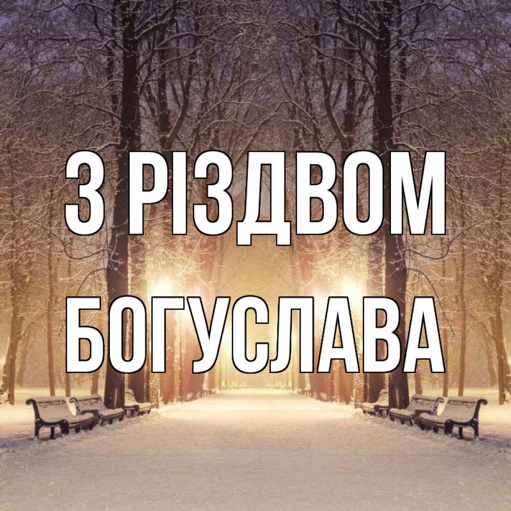 Открытка на каждый день з підписом, Богуслава З Різдвом зима, парк, фонарь, лес Прикольна листівка з побажанням онлайн скачати безкоштовно 