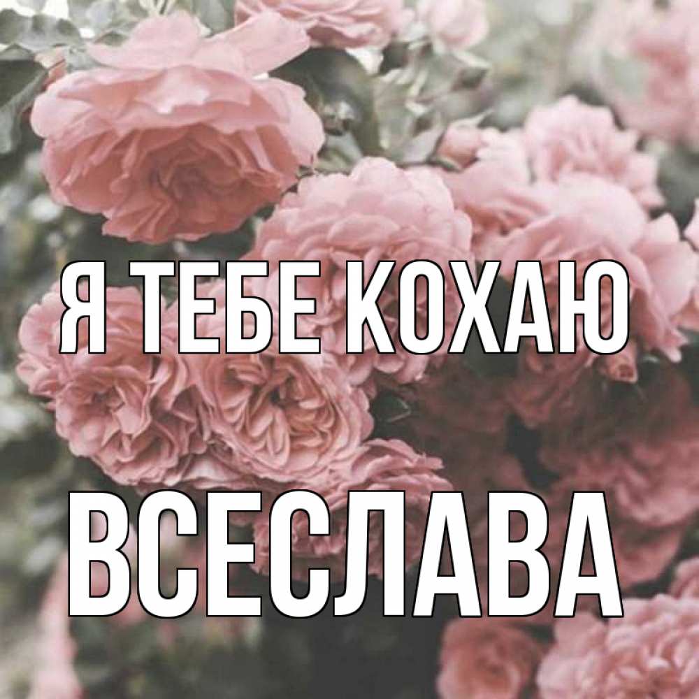 Открытка на каждый день з підписом, Всеслава Я тебе кохаю розы 3 Прикольна листівка з побажанням онлайн скачати безкоштовно 