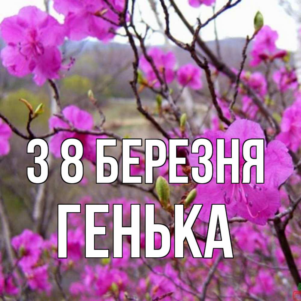 Открытка на каждый день з підписом, Генька З 8 БЕРЕЗНЯ международный женский день Прикольна листівка з побажанням онлайн скачати безкоштовно 