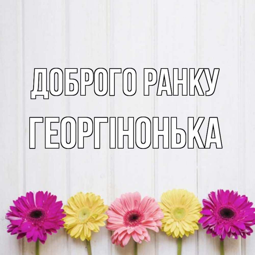 Открытка на каждый день з підписом, Георгінонька Доброго ранку красный желтый и розовый цветок Прикольна листівка з побажанням онлайн скачати безкоштовно 