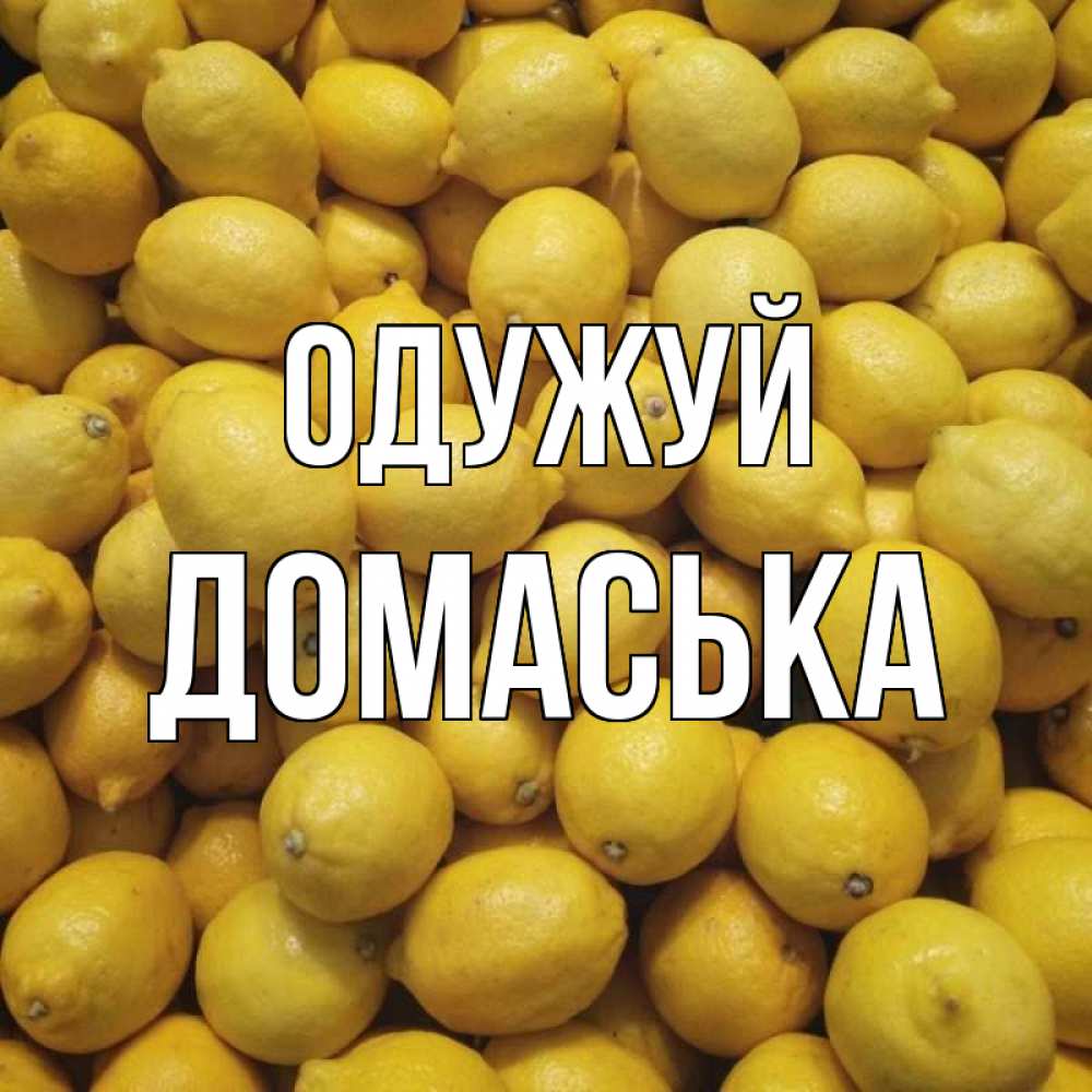 Открытка на каждый день з підписом, Домаська Одужуй это точно поможет Прикольна листівка з побажанням онлайн скачати безкоштовно 