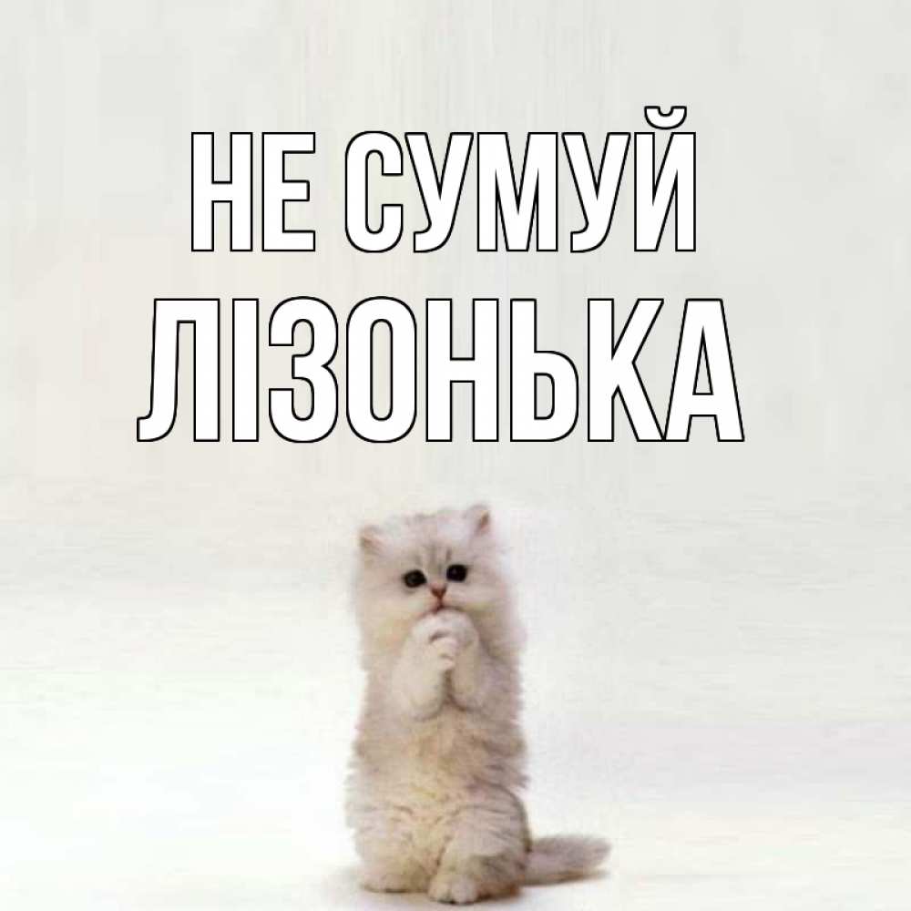 Открытка на каждый день з підписом, Лізонька Не сумуй грустный кот Прикольна листівка з побажанням онлайн скачати безкоштовно 