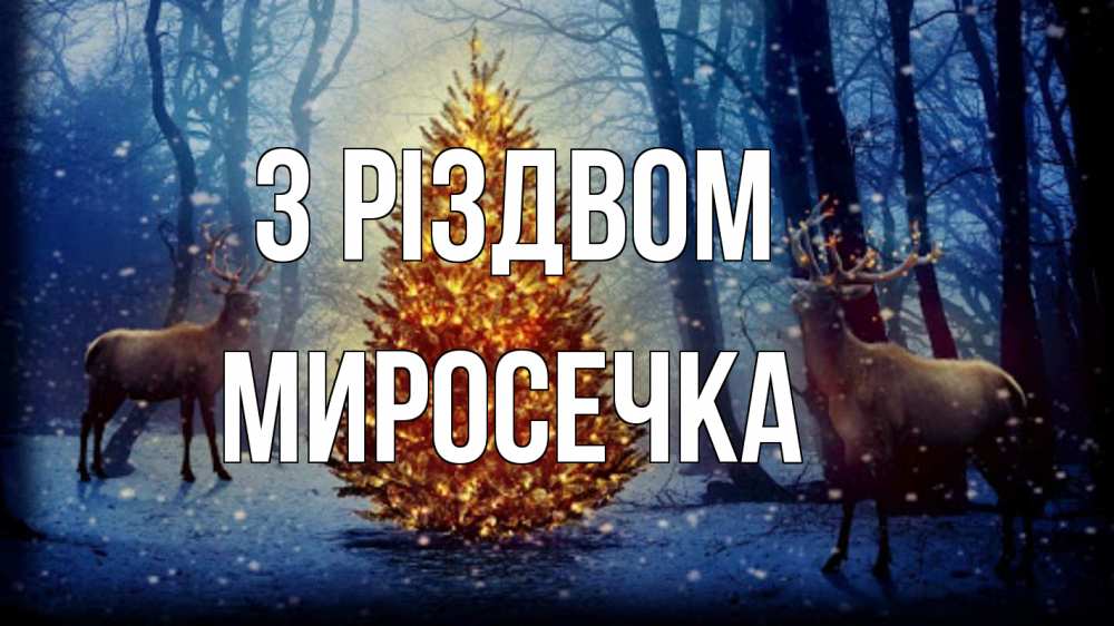 Открытка на каждый день з підписом, Миросечка З Різдвом олени, новогодняя елка Прикольна листівка з побажанням онлайн скачати безкоштовно 