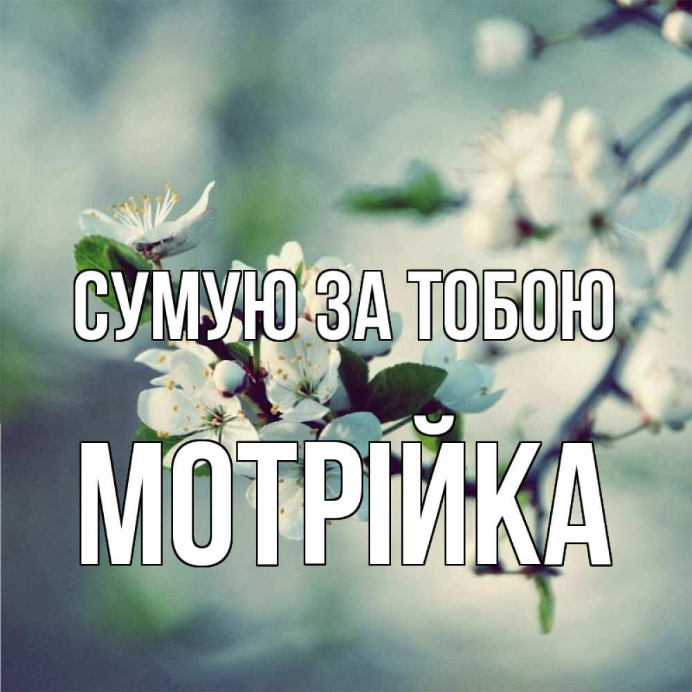Открытка на каждый день з підписом, Мотрійка Сумую за тобою весна Прикольна листівка з побажанням онлайн скачати безкоштовно 
