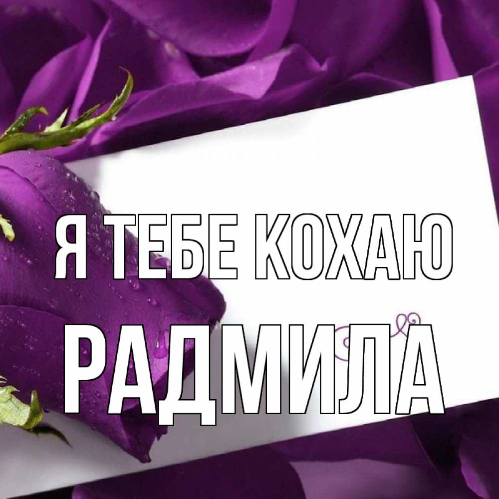 Открытка на каждый день з підписом, Радмила Я тебе кохаю роза Прикольна листівка з побажанням онлайн скачати безкоштовно 