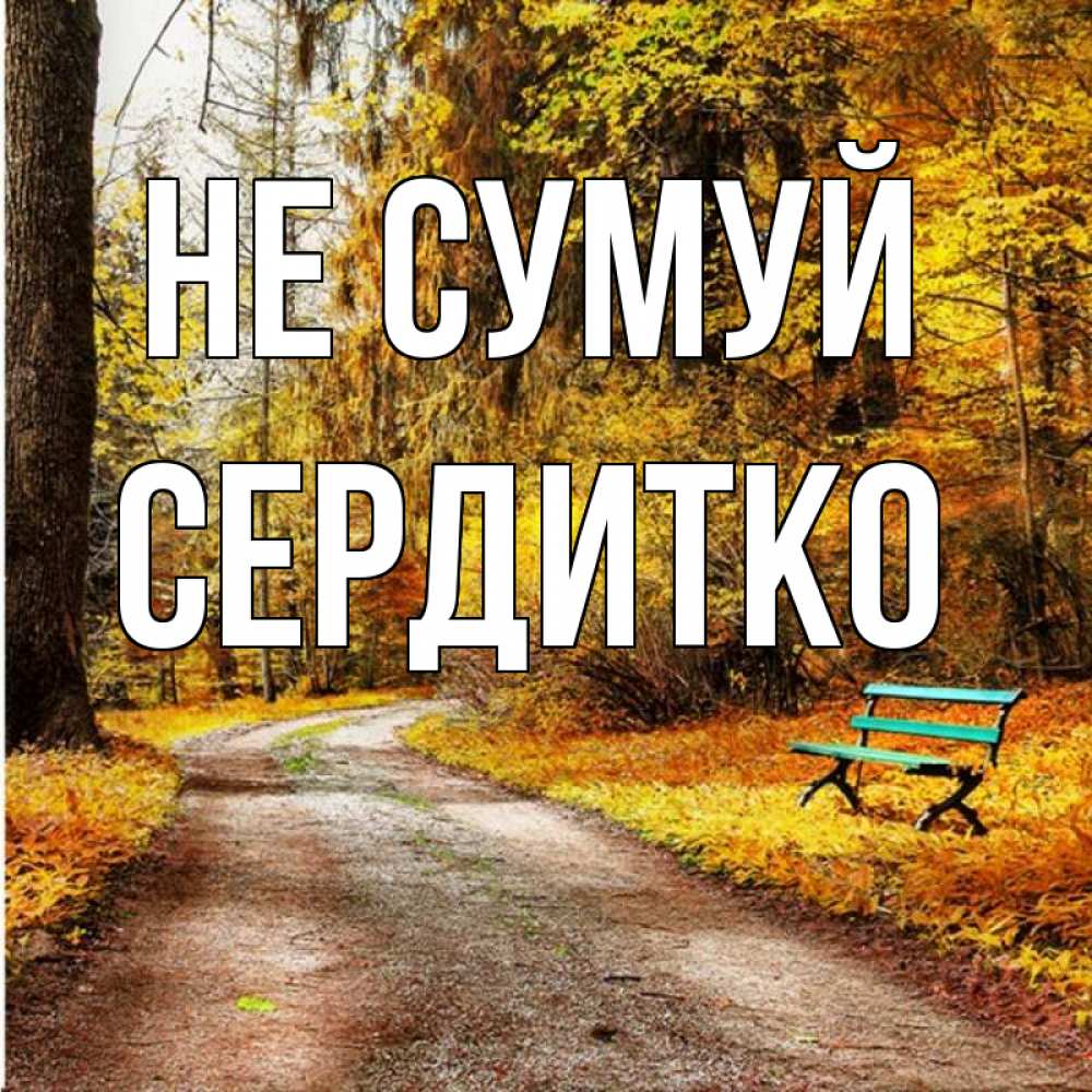 Открытка на каждый день з підписом, Сердитко Не сумуй зеленая лавочка Прикольна листівка з побажанням онлайн скачати безкоштовно 