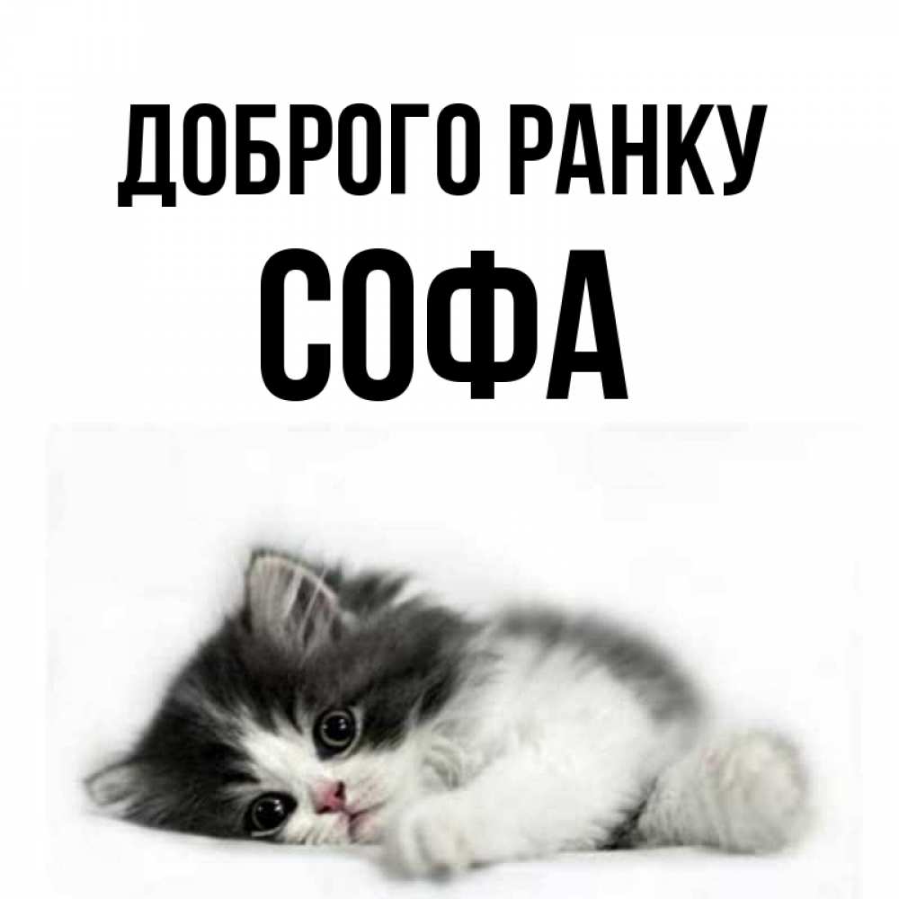 Открытка на каждый день з підписом, Софа Доброго ранку кот лапки Прикольна листівка з побажанням онлайн скачати безкоштовно 