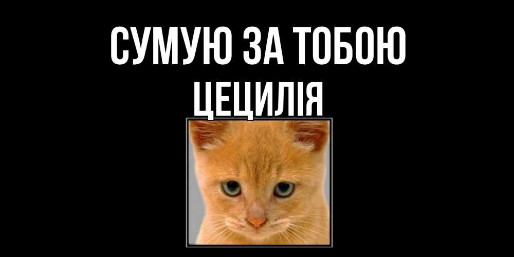 Открытка на каждый день з підписом, Цецилія Сумую за тобою открытки рыжий котенок скучает по тебе Прикольна листівка з побажанням онлайн скачати безкоштовно 