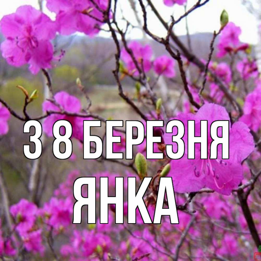 Открытка на каждый день з підписом, Янка З 8 БЕРЕЗНЯ международный женский день Прикольна листівка з побажанням онлайн скачати безкоштовно 
