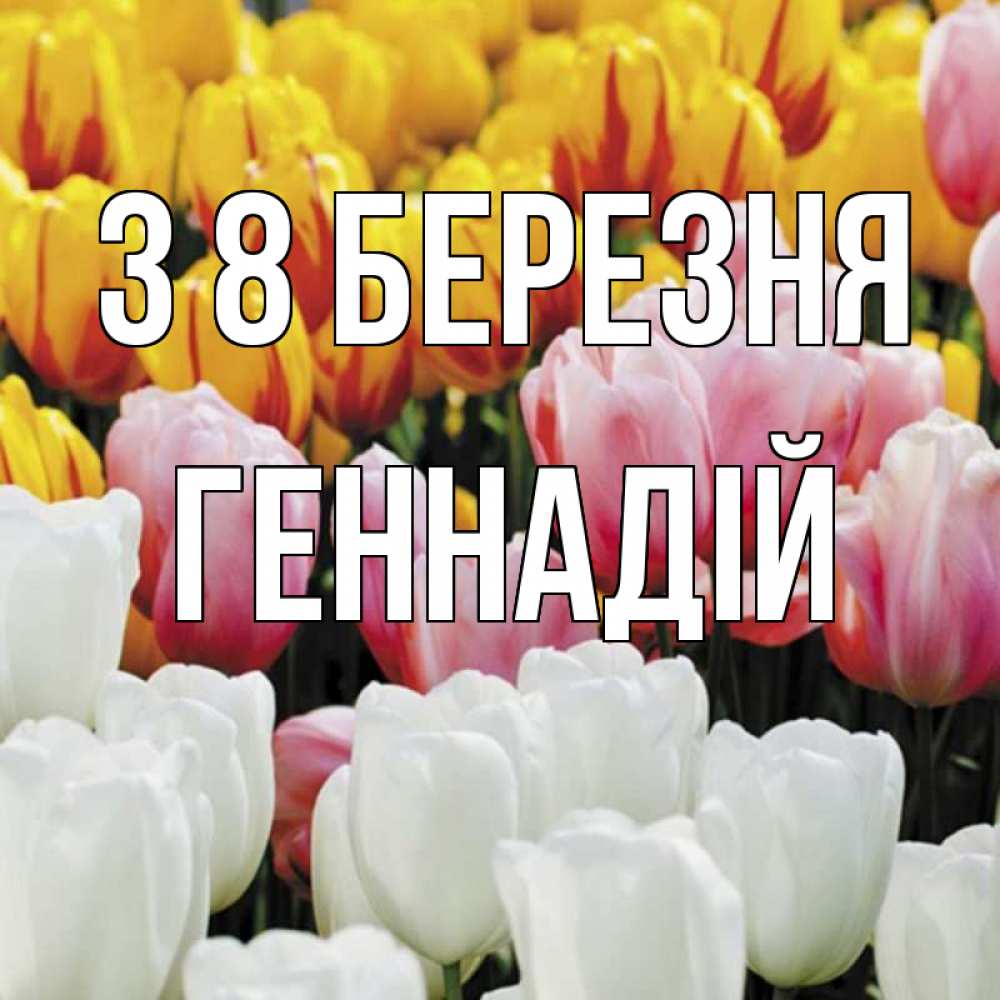 Открытка на каждый день з підписом, Геннадій З 8 БЕРЕЗНЯ разноцветные цветы Прикольна листівка з побажанням онлайн скачати безкоштовно 
