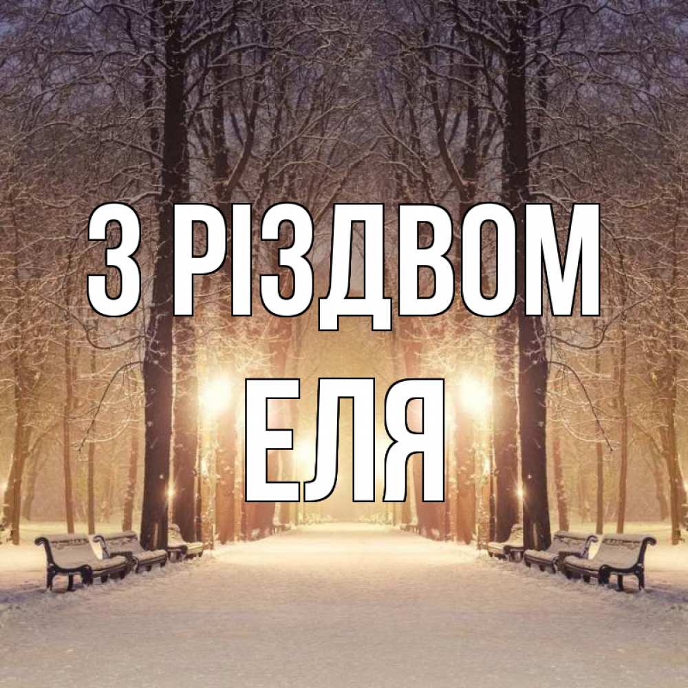 Открытка на каждый день з підписом, Еля З Різдвом зима, парк, фонарь, лес Прикольна листівка з побажанням онлайн скачати безкоштовно 