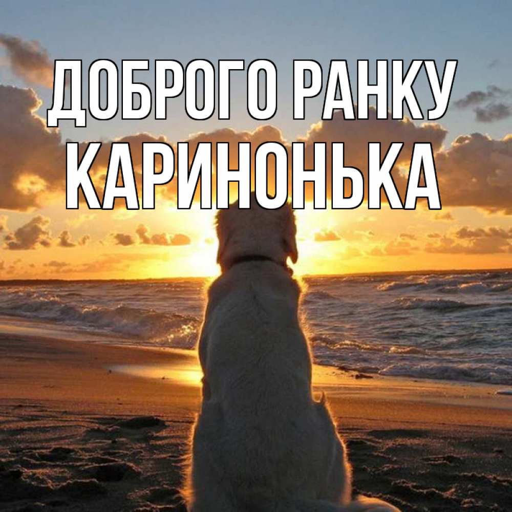 Открытка на каждый день з підписом, Каринонька Доброго ранку восход солнца Прикольна листівка з побажанням онлайн скачати безкоштовно 