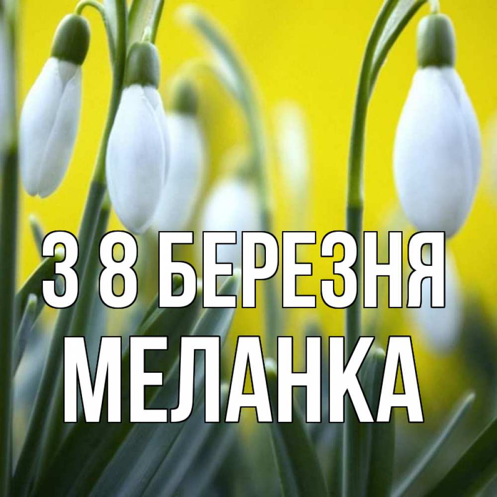 Открытка на каждый день з підписом, Меланка З 8 БЕРЕЗНЯ весенние цветы Прикольна листівка з побажанням онлайн скачати безкоштовно 