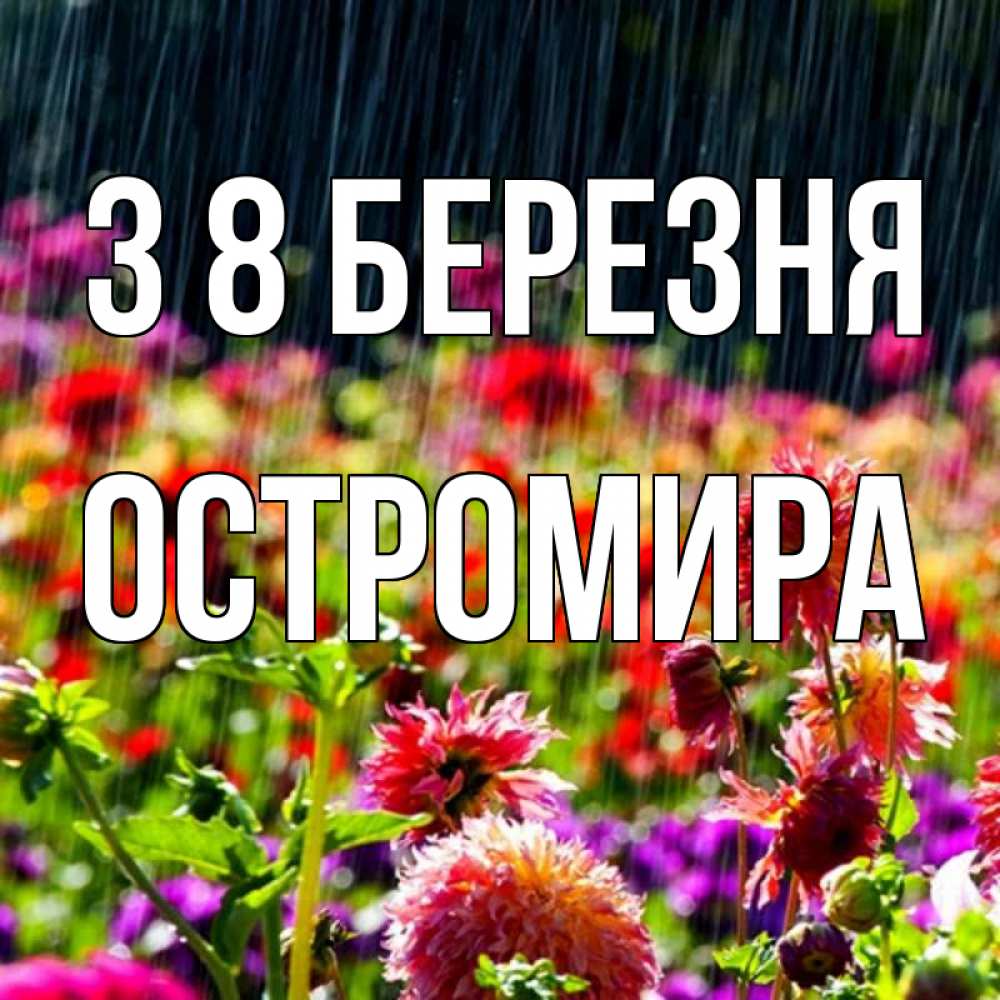 Открытка на каждый день з підписом, Остромира З 8 БЕРЕЗНЯ цветы под дождиком к международному женскому дню Прикольна листівка з побажанням онлайн скачати безкоштовно 