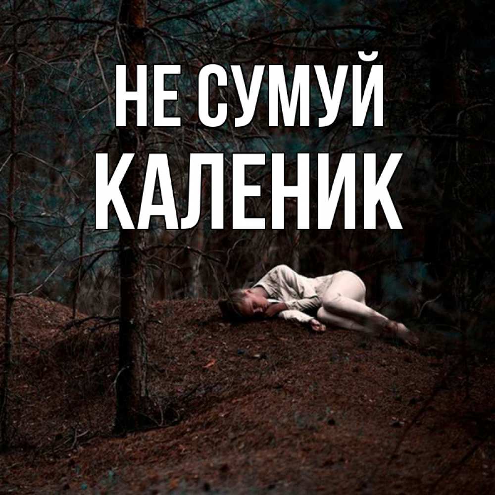 Открытка на каждый день з підписом, Каленик Не сумуй лес Прикольна листівка з побажанням онлайн скачати безкоштовно 