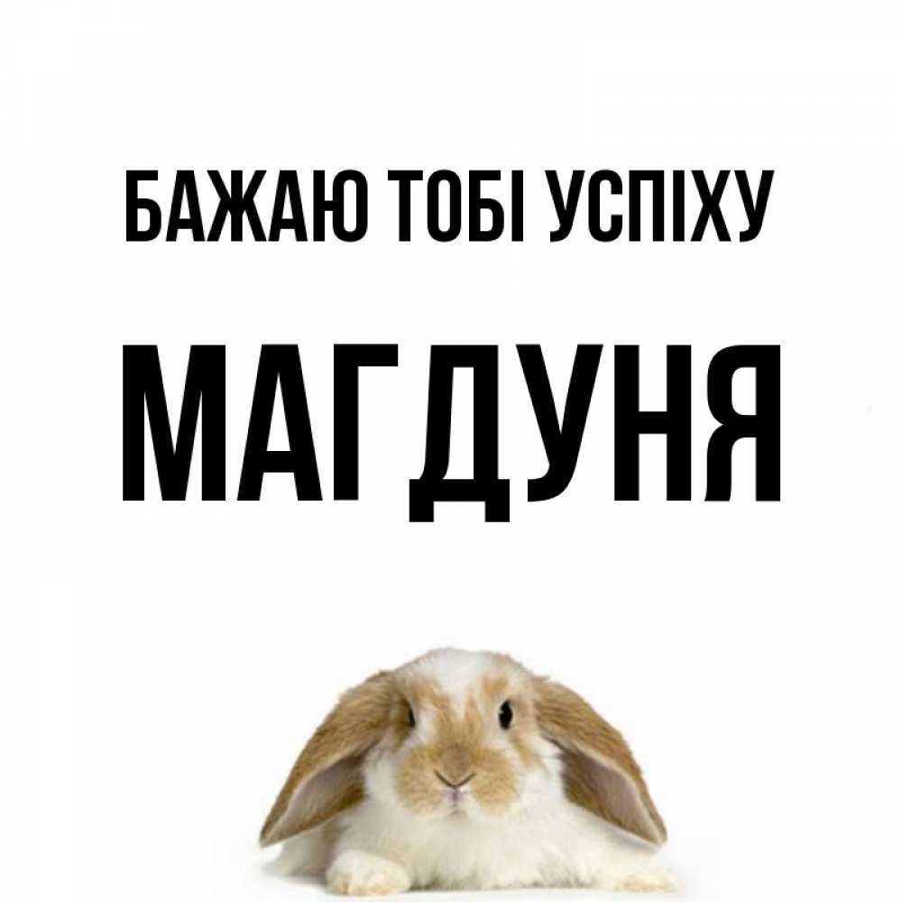 Открытка на каждый день з підписом, Магдуня Бажаю тобі успіху открытки с произвольным текстом который можно вставить в открытку и создать ее самостоятельно бесплатно онлайн Прикольна листівка з побажанням онлайн скачати безкоштовно 