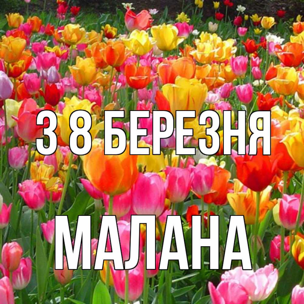 Открытка на каждый день з підписом, Малана З 8 БЕРЕЗНЯ на международный женский день Прикольна листівка з побажанням онлайн скачати безкоштовно 