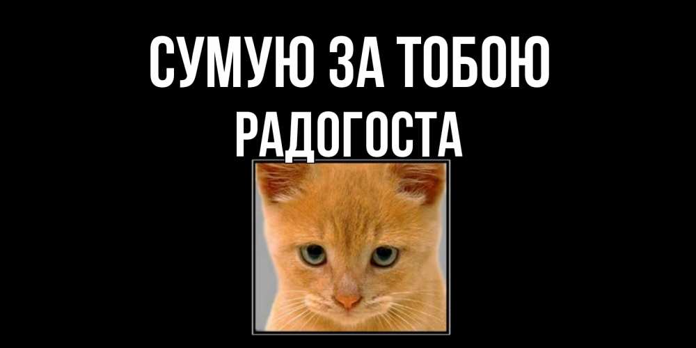 Открытка на каждый день з підписом, Радогоста Сумую за тобою открытки рыжий котенок скучает по тебе Прикольна листівка з побажанням онлайн скачати безкоштовно 